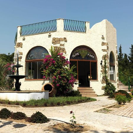 Olive Farm Of Datca Guesthouse (Adults Only) מראה חיצוני תמונה