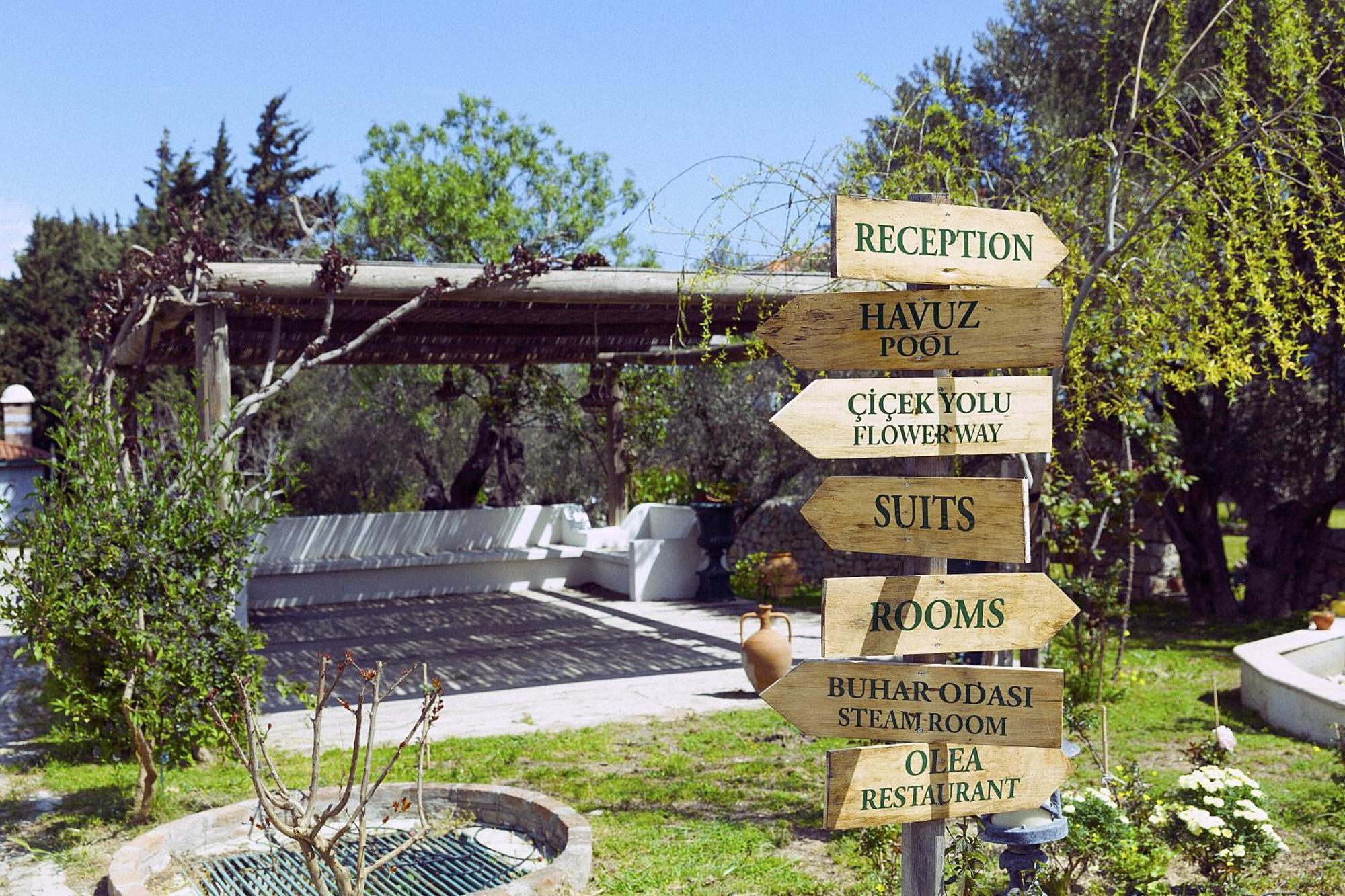Olive Farm Of Datca Guesthouse (Adults Only) מראה חיצוני תמונה