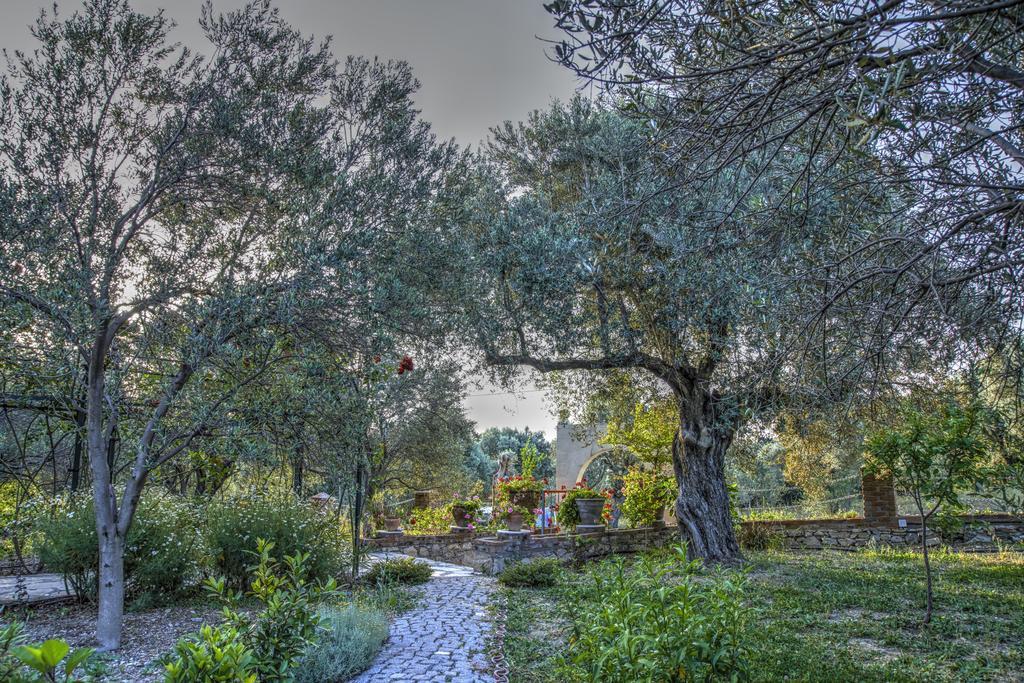 Olive Farm Of Datca Guesthouse (Adults Only) מראה חיצוני תמונה
