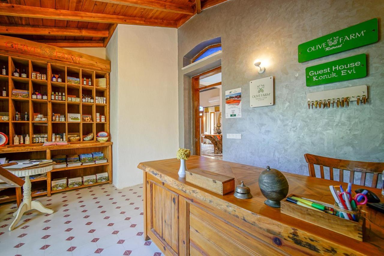 Olive Farm Of Datca Guesthouse (Adults Only) מראה חיצוני תמונה