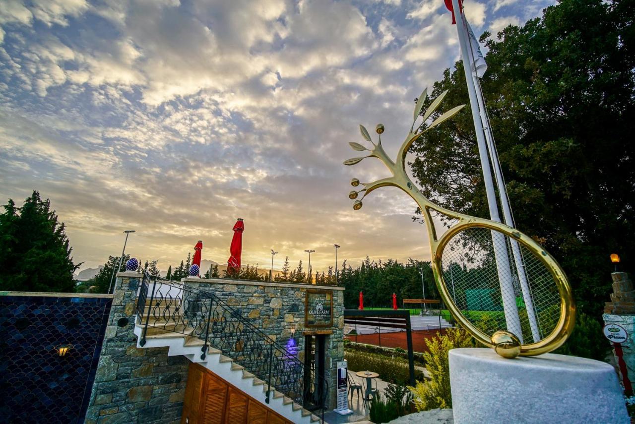 Olive Farm Of Datca Guesthouse (Adults Only) מראה חיצוני תמונה