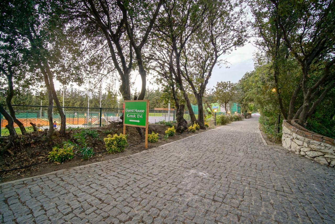 Olive Farm Of Datca Guesthouse (Adults Only) מראה חיצוני תמונה