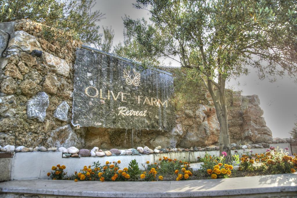 Olive Farm Of Datca Guesthouse (Adults Only) מראה חיצוני תמונה