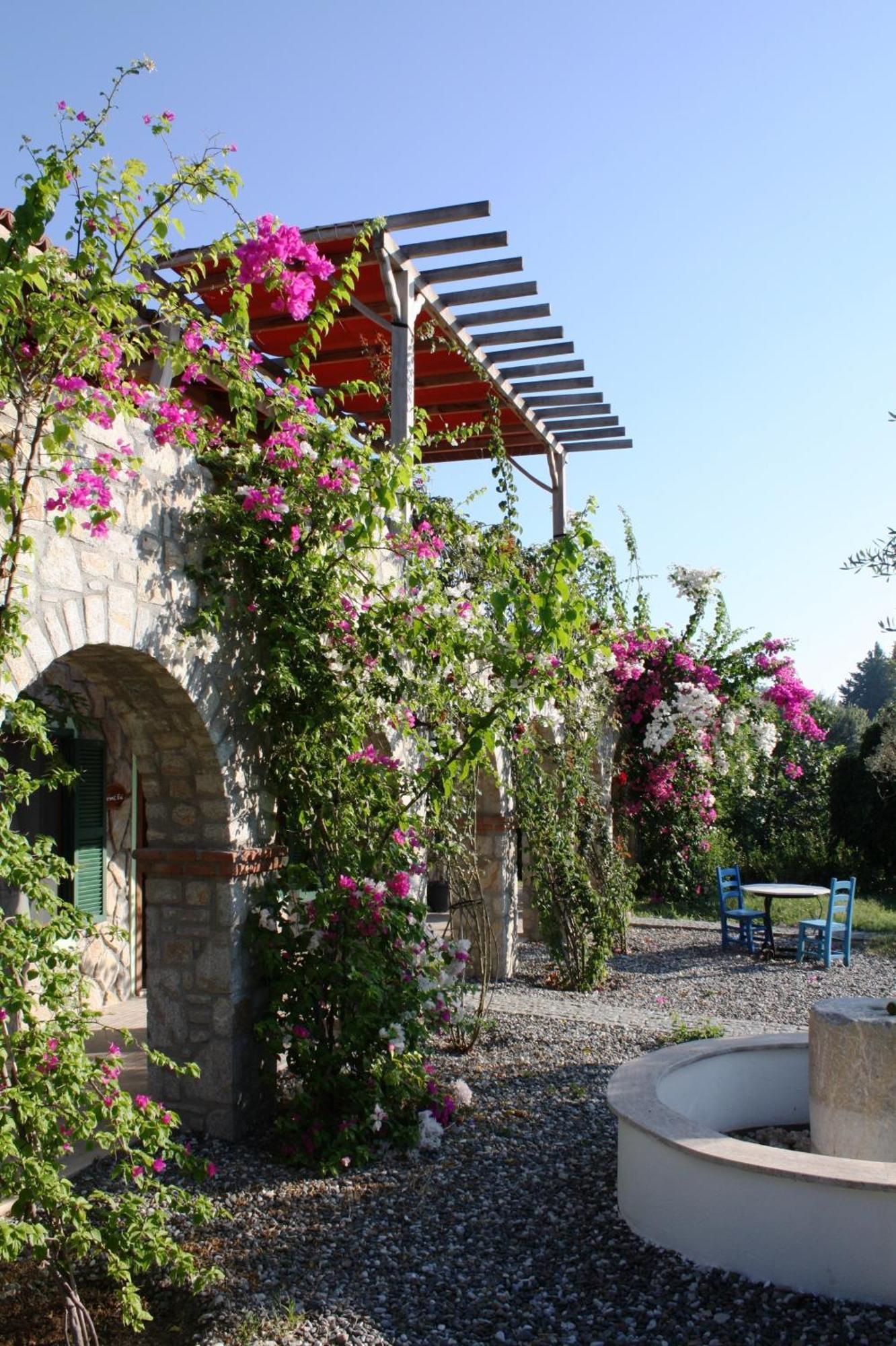 Olive Farm Of Datca Guesthouse (Adults Only) מראה חיצוני תמונה
