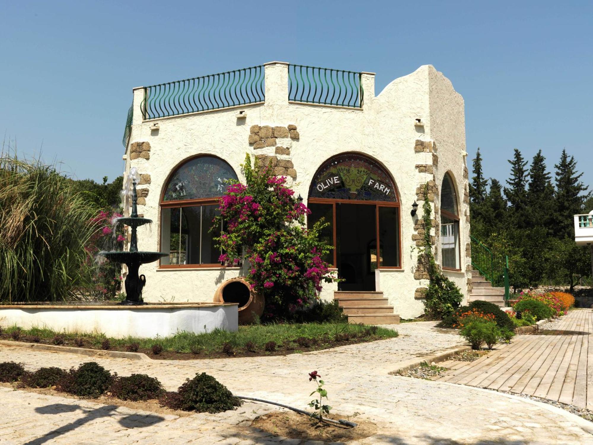 Olive Farm Of Datca Guesthouse (Adults Only) מראה חיצוני תמונה