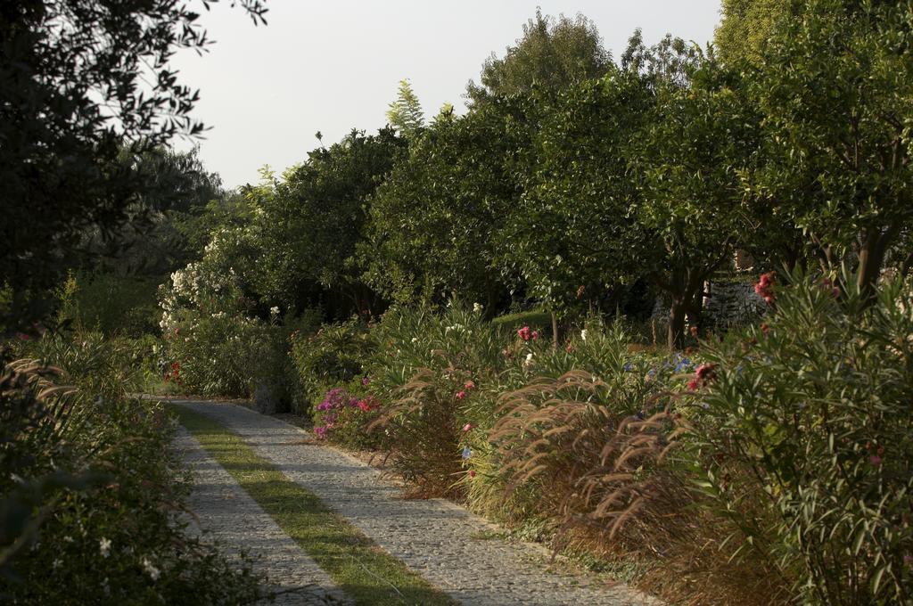 Olive Farm Of Datca Guesthouse (Adults Only) מראה חיצוני תמונה