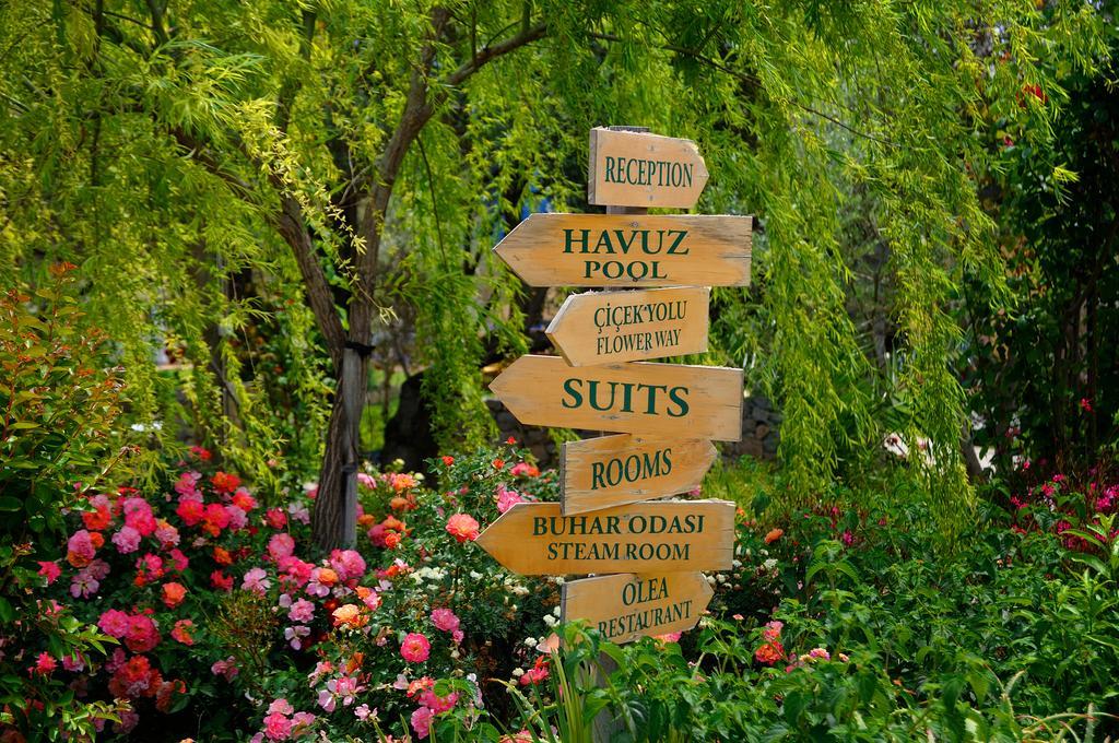 Olive Farm Of Datca Guesthouse (Adults Only) מראה חיצוני תמונה