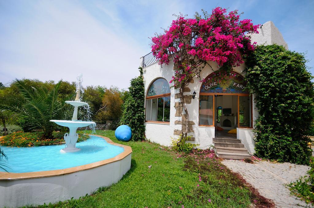 Olive Farm Of Datca Guesthouse (Adults Only) מראה חיצוני תמונה