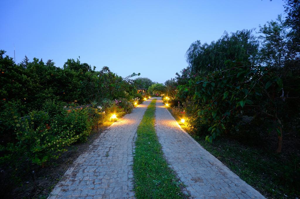 Olive Farm Of Datca Guesthouse (Adults Only) מראה חיצוני תמונה