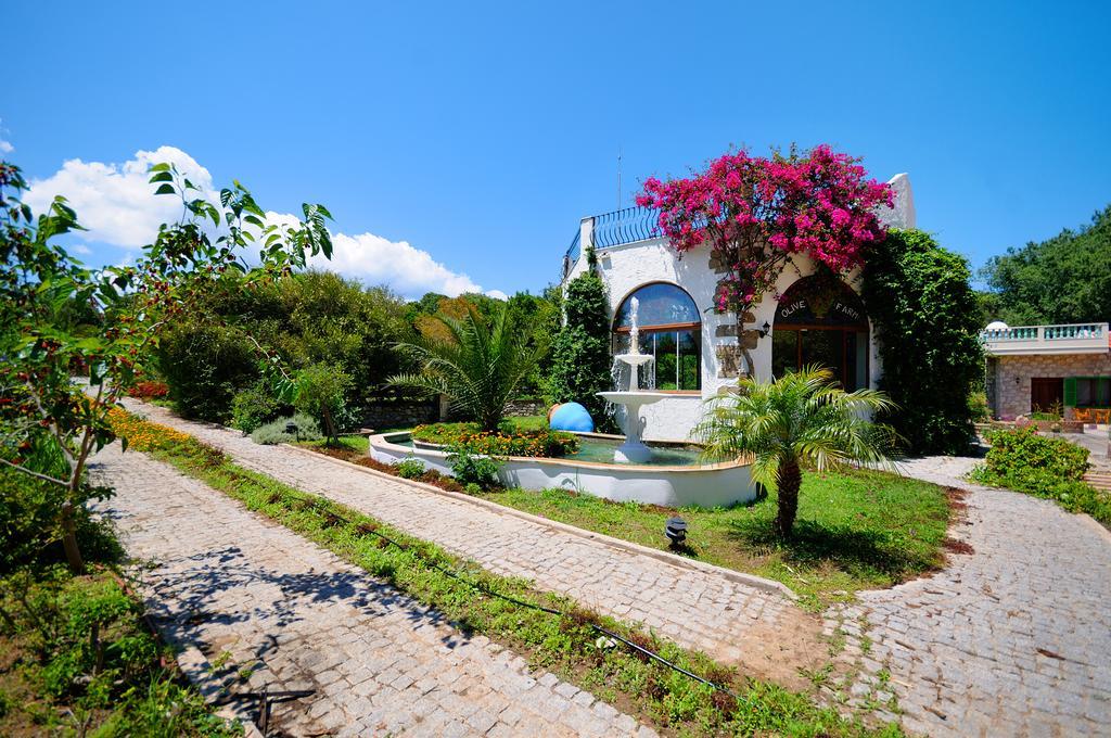 Olive Farm Of Datca Guesthouse (Adults Only) מראה חיצוני תמונה