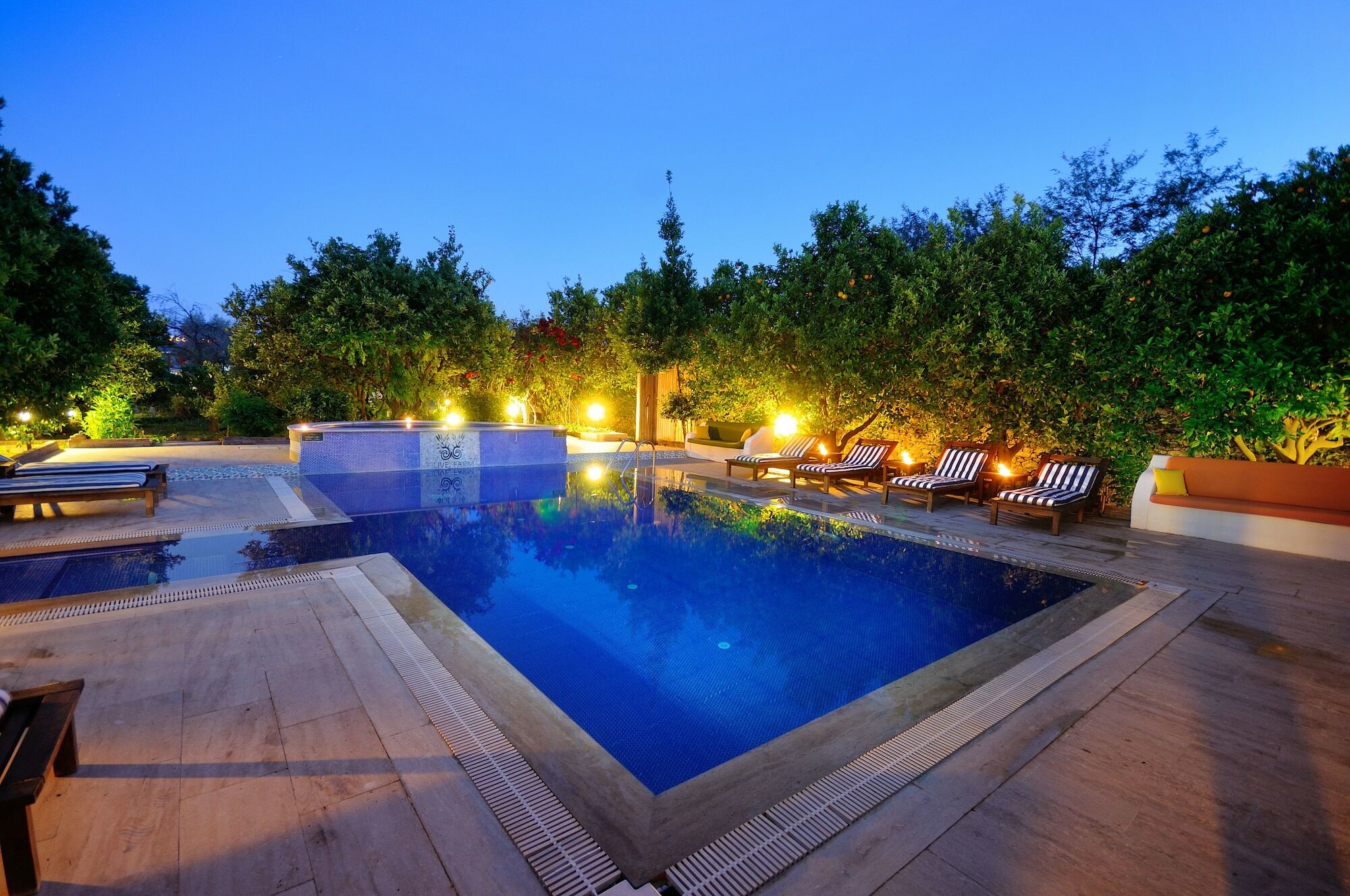 Olive Farm Of Datca Guesthouse (Adults Only) מראה חיצוני תמונה